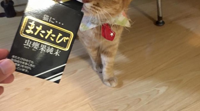 ねむりんさんまたたびダンスナイト☆ ～ Do a pole dance with Cat Powder